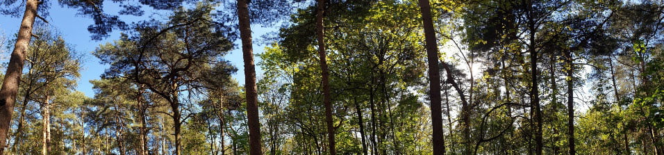 Woodhall Spa